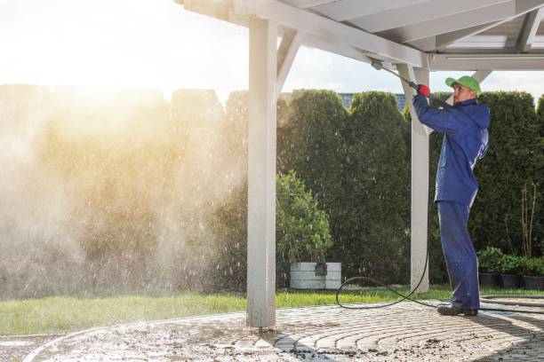 Best Solar Panel Cleaning  in Sandy Hook, CT